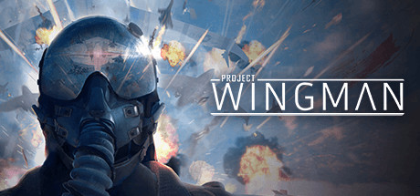 Project Wingman Free Download PC Game